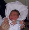 Dominik(1dayold).gif (45175 bytes)